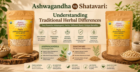 Ashwagandha vs Shatavari: Understanding Traditional Herbal Differences