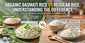 Organic Basmati Rice vs Regular Rice: Understanding the Difference