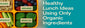 Healthy Lunch Ideas Using Only Organic Ingredients