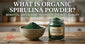 What Is Organic Spirulina Powder? Benefits, Uses & How to Choose the Best Quality